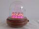 Glass Dome In14 Tubes Nixie Clock Uhr By Monjibox Nixie