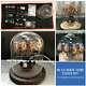 Vintage Classic In-12 Nixie Tube Clock Kit Diy / Round Glass Case/ Assembled W